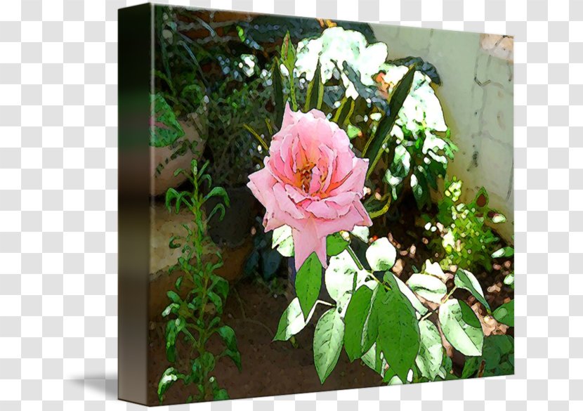 Floral Design Garden Pink M Shrub - Plant Transparent PNG