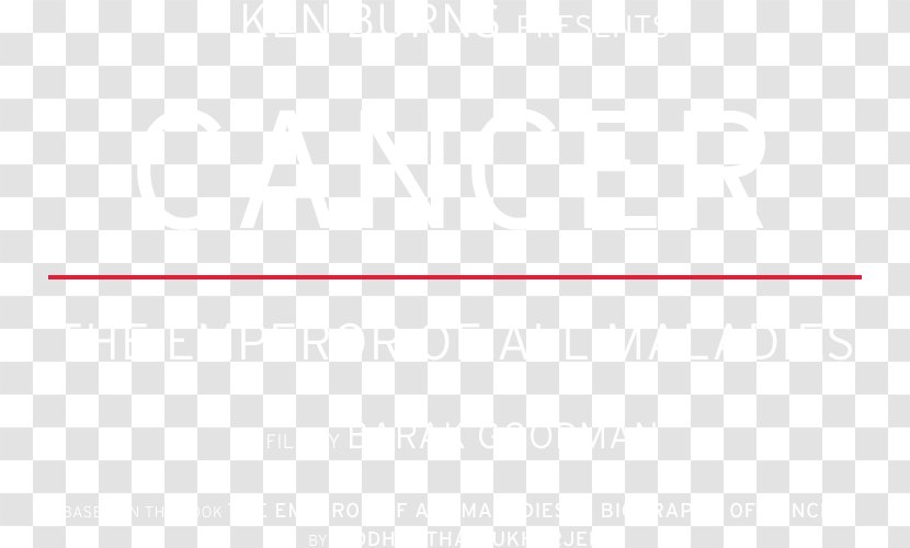 Rectangle Area - Lines Background Transparent PNG