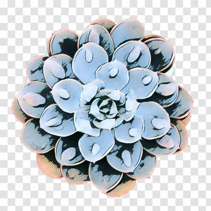 Blue Echeveria Flower Turquoise Plant - Jewellery Petal Transparent PNG