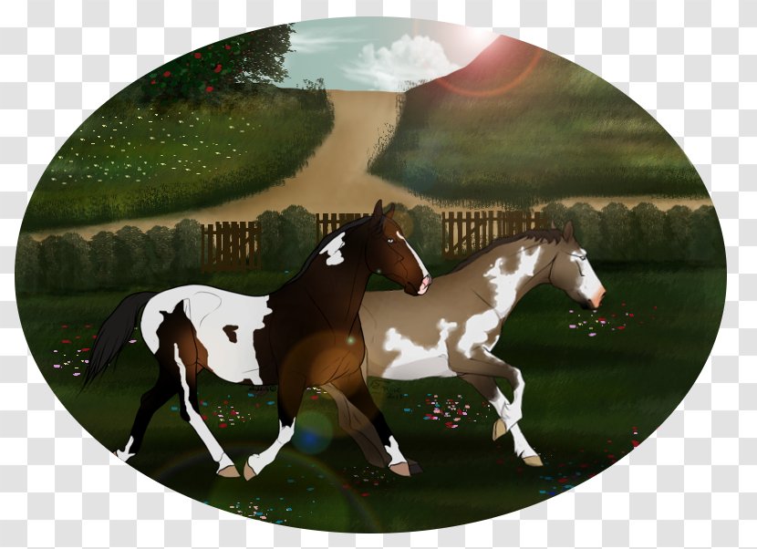 Stallion Mustang Foal Mare Bridle - Horse Like Mammal Transparent PNG