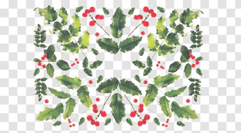Floral Design Leaf Aquifoliales Circle Pattern - Plant - Shading Transparent PNG