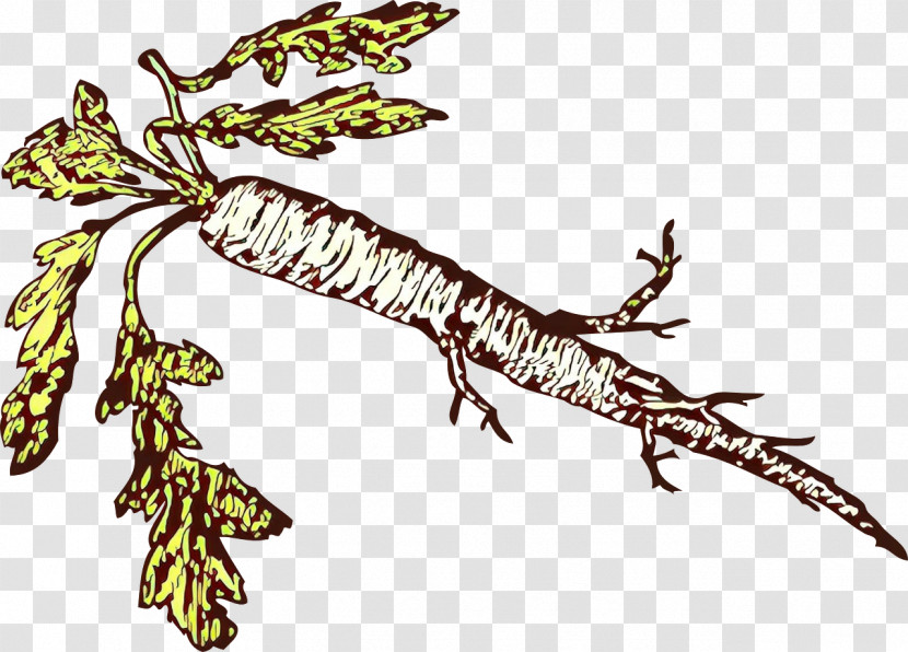 Fish Lizard Reptile Salamander Tail Transparent PNG