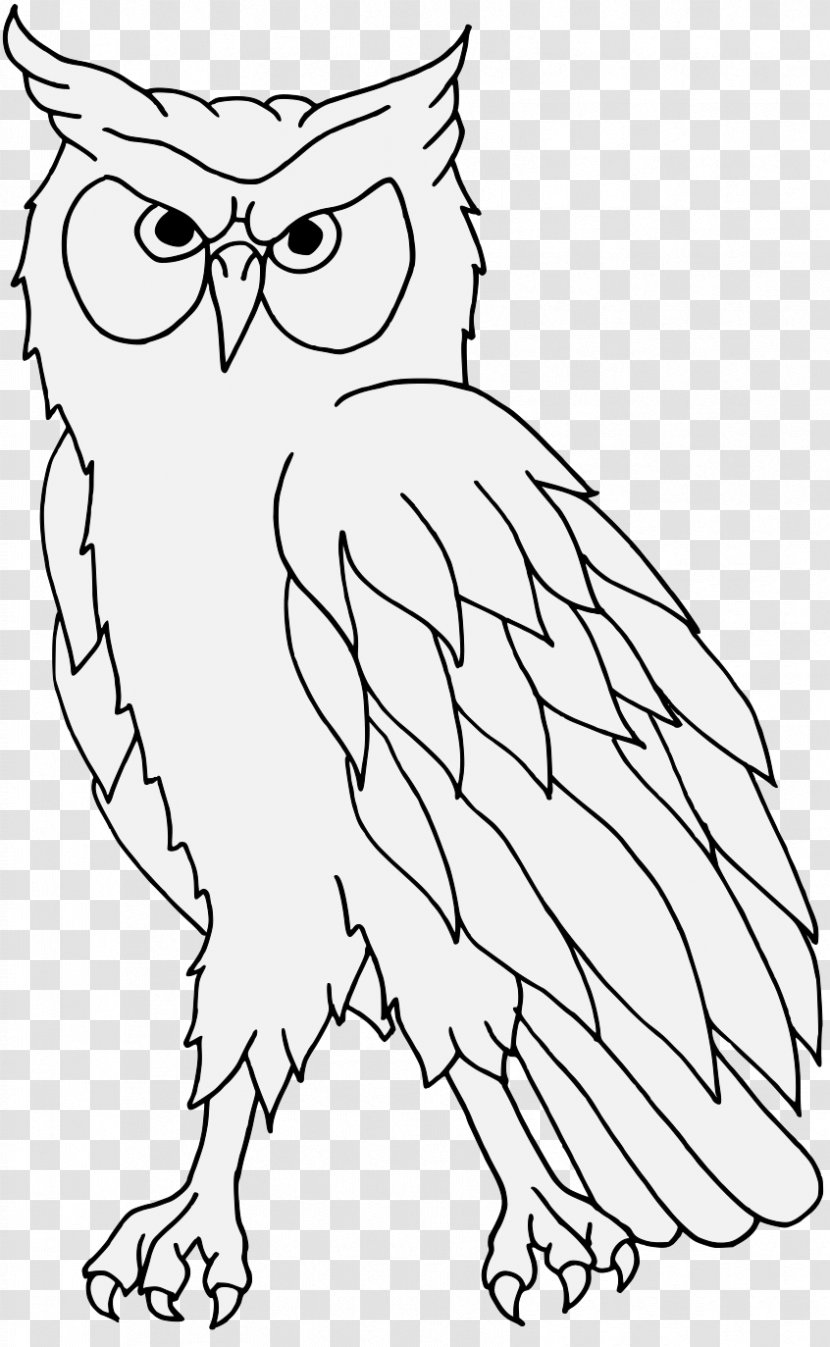 Owl Heraldry Bird Beak Coat Of Arms Transparent PNG