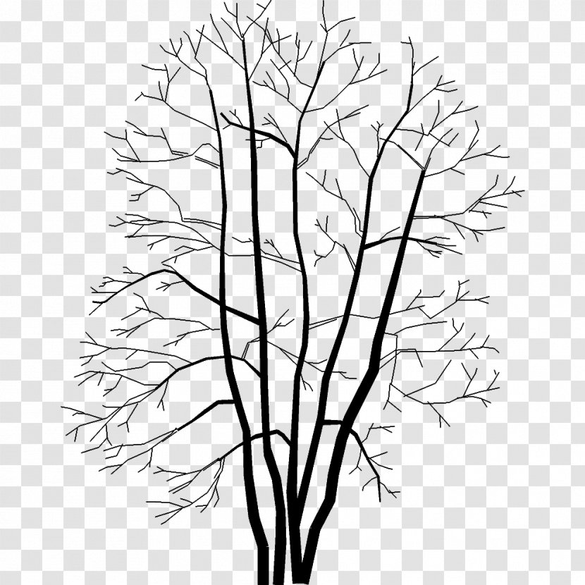 Twig .dwg AutoCAD DXF Drawing - Artwork - Tree Transparent PNG