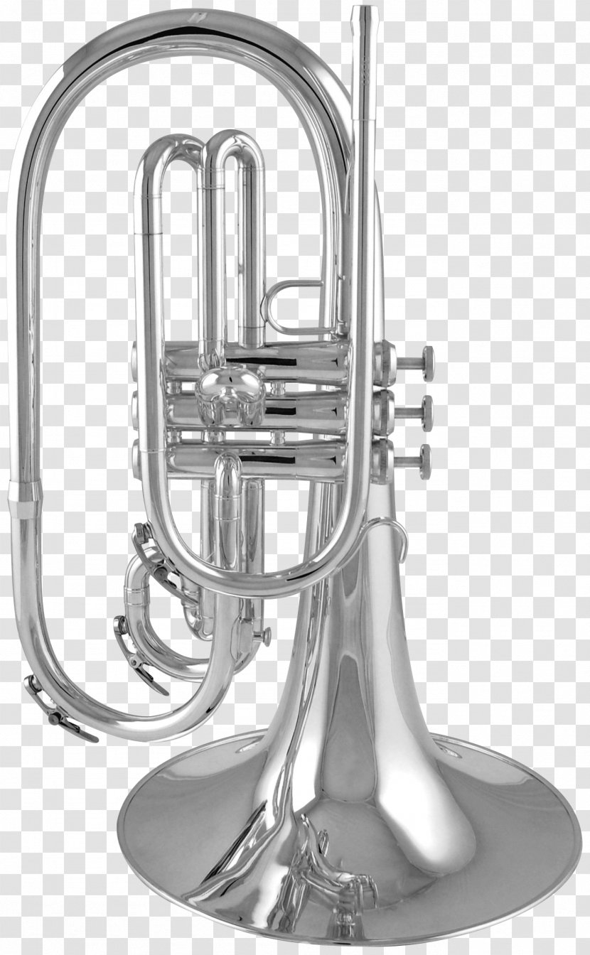 Saxhorn Mellophone Cornet Euphonium French Horns - Frame - Musical Instruments Transparent PNG
