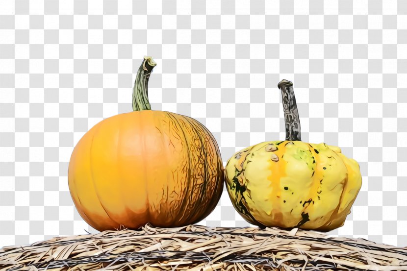 Pumpkin - Paint - Food Cucurbita Transparent PNG