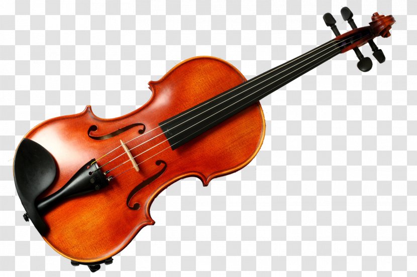 Violin Musical Instruments Musician Dance - Flower Transparent PNG
