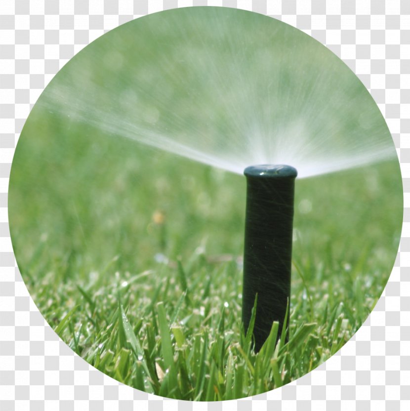 Irrigation Sprinkler Fire System Lawn - Sistema De Riego - Water-sprinkling Festival Transparent PNG