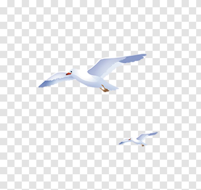 Flight Sky European Herring Gull - Flying Geese Blue And White Hand-painted Transparent PNG