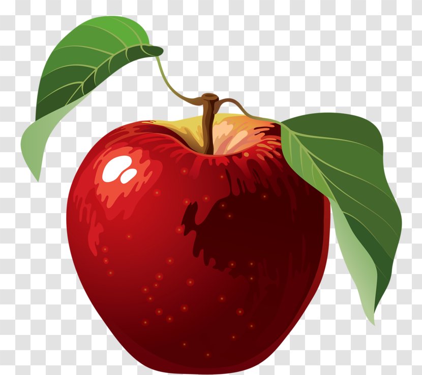Apples Clip Art - Information - Red Apple Transparent PNG