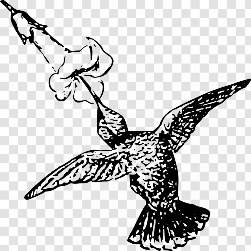 Hummingbird Beak Clip Art - Fictional Character - Bird Transparent PNG