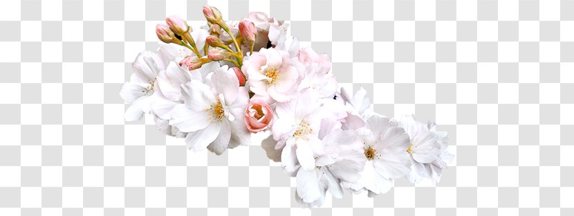 Floral Design Flower Preview - Newspaper Transparent PNG