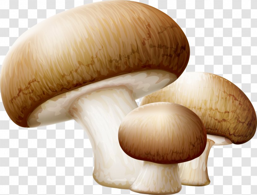 Common Mushroom Edible Clip Art - Food - Mushrooms Decorative Material Modification Transparent PNG