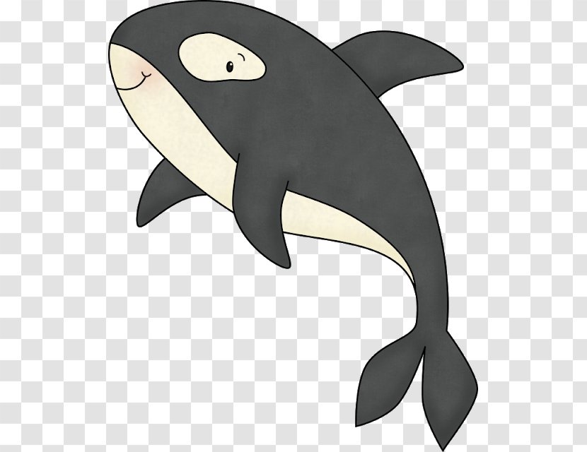 Dolphin Killer Whale Cetacea - Whales Dolphins And Porpoises Transparent PNG