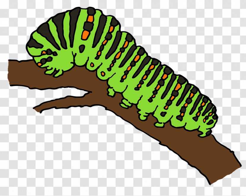 Caterpillar Butterfly Worm Clip Art - Grass Transparent PNG
