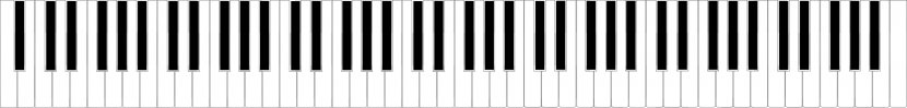 Black Structure Pattern - White - Piano Keys Cliparts Transparent PNG