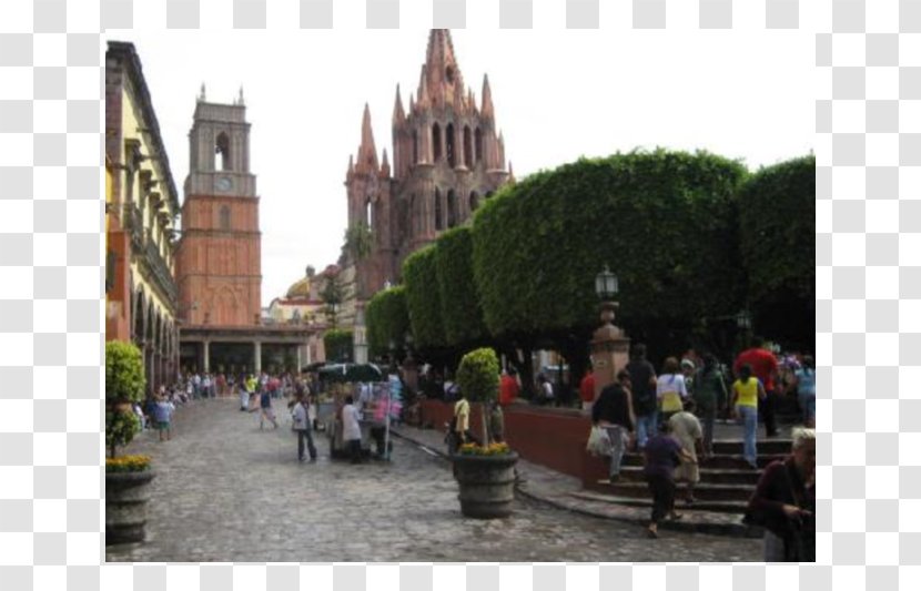 Parroquia De San Miguel Arcángel Cathedral Tourism Tree Allende - City Transparent PNG