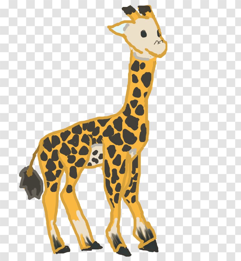 Giraffe Neck Terrestrial Animal Wildlife - Tail Transparent PNG