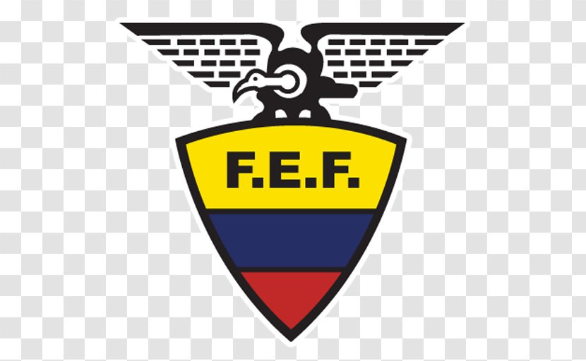 Ecuador National Football Team 2014 FIFA World Cup Argentina Venezuela - Area Transparent PNG
