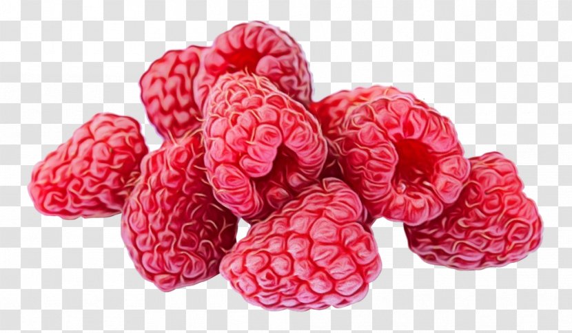 Raspberry Berry Fruit Food Superfood - Watercolor - Blackberry Loganberry Transparent PNG