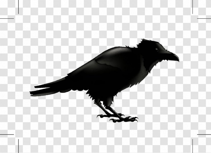 Common Raven Silhouette Stock Photography Illustration - American Crow - Black Cartoon Bird Transparent PNG