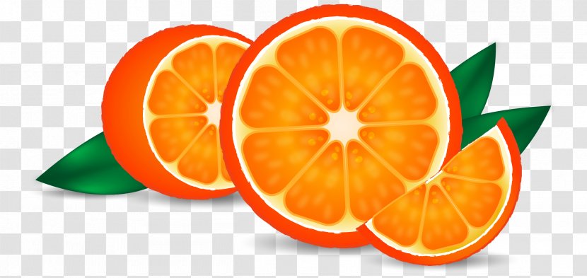 Orange Juice Tangerine Drink - Superfood - Cut Oranges Transparent PNG