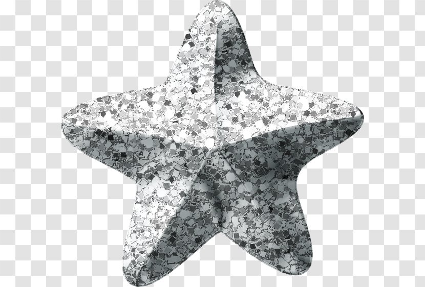 Starfish - Marine Invertebrates Transparent PNG