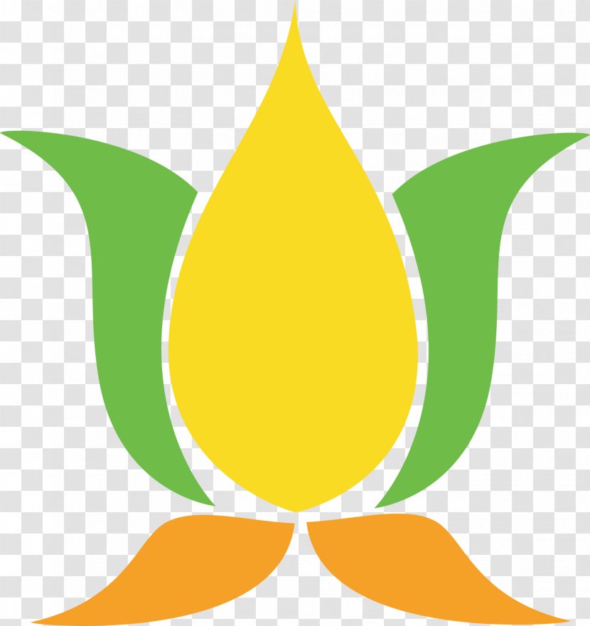 Sacred Lotus National Symbols Of India Pattern Signage - Peafowl - Leaf Template Transparent PNG