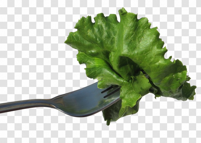 Lettuce Vegetable Salad Food Eating - Tie Fork Transparent PNG