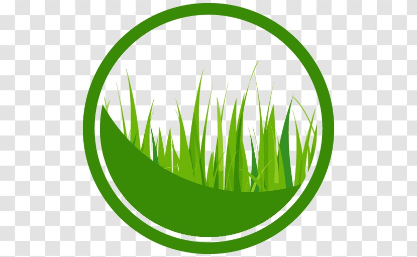 Grasses Pasture App Store - Leaf - Agriculture Transparent PNG