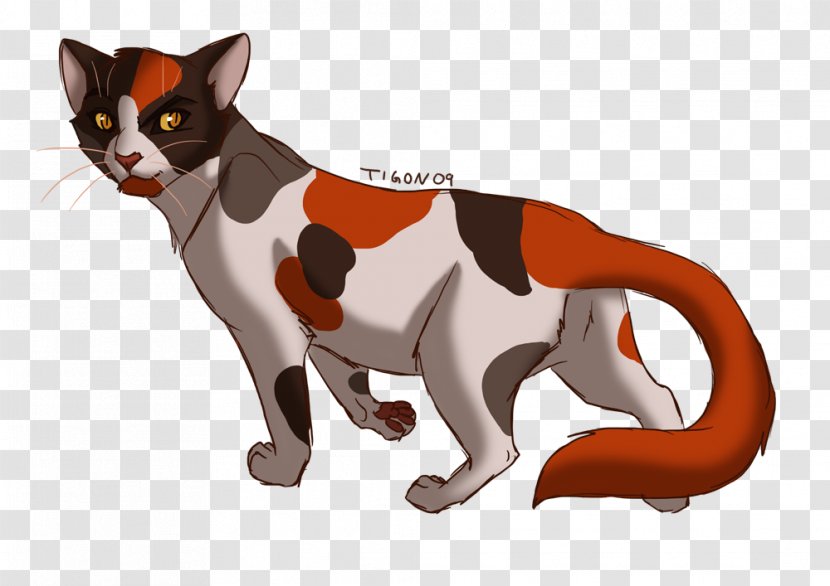 Warriors Cat Into The Wild Spottedleaf Crookedstar - Like Mammal Transparent PNG