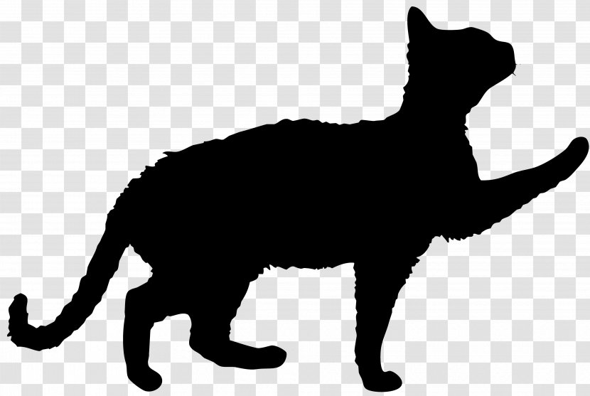 Domestic Short-haired Cat Kitten Stencil Black - Mammal Transparent PNG