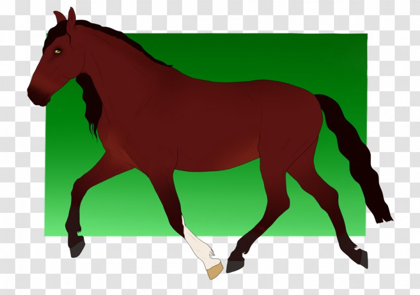 Mule Mustang Stallion Foal Mare - Pack Animal Transparent PNG