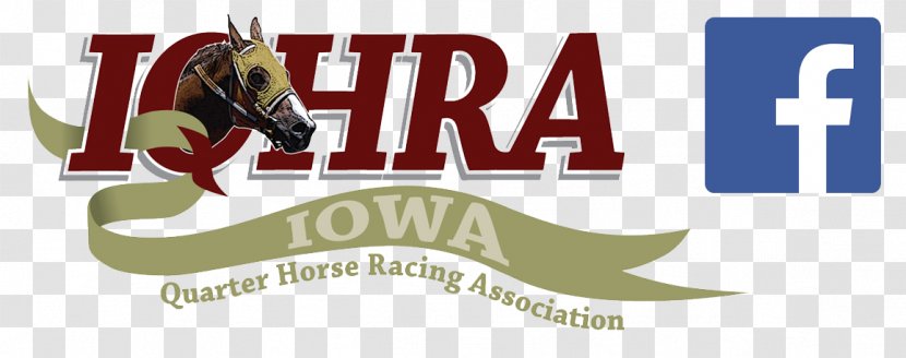 American Quarter Horse Stallion Racing Plasma Cutting - Equestrian - Rocky Mountain Association Transparent PNG
