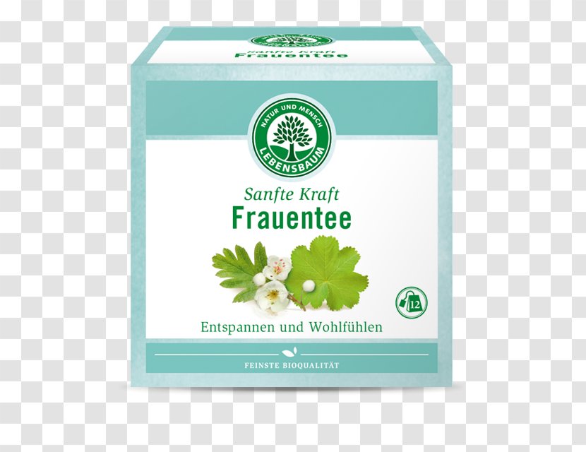 Organic Food Green Tea Vegetarian Cuisine Drumstick Tree - Brand - Juice Box Transparent PNG