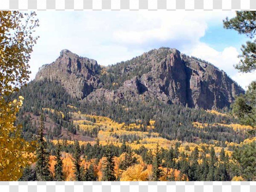 Tropical And Subtropical Coniferous Forests Geology Cliff National Park Mountain - Range - Pagosa Springs Transparent PNG