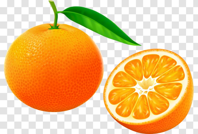 Tangerine Mandarin Orange Grapefruit Clementine - Yuzu Transparent PNG