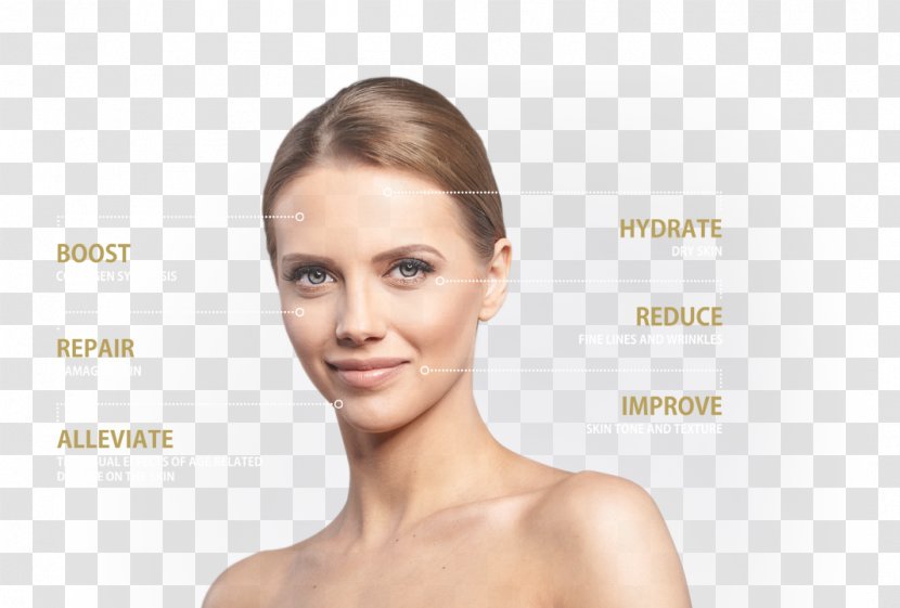 Skin Care Face Facial Eyebrow - Antiaging Cream Transparent PNG