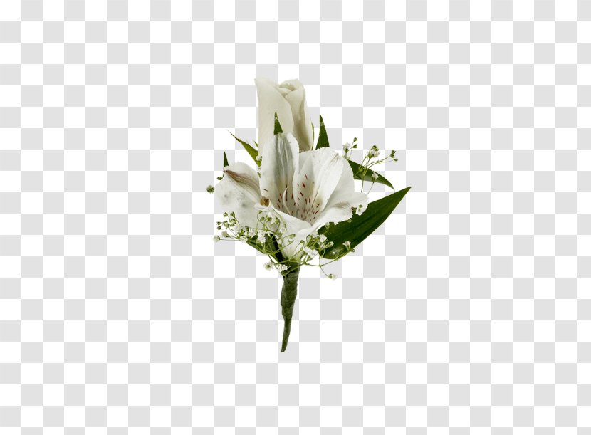 Floral Design Cut Flowers Flower Bouquet Boutonnière Lily Of The Incas - Rose Transparent PNG