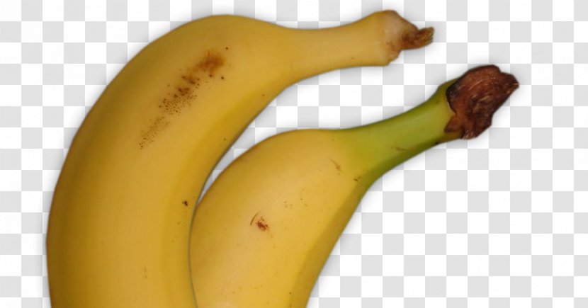 Banana - Family - Jus Buah Transparent PNG
