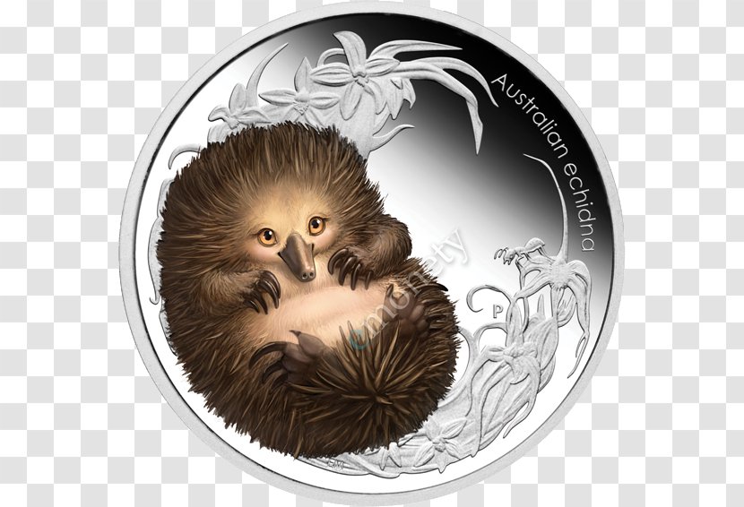 Platypus Anteater Perth Mint Short-beaked Echidna - Silver Transparent PNG