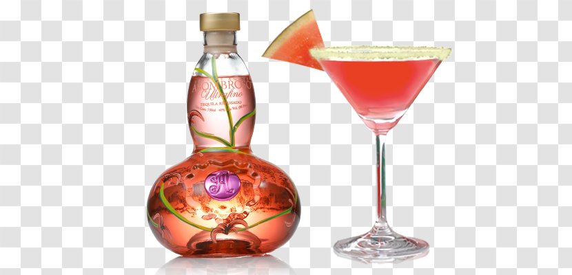 Cocktail Garnish Tequila Mezcal Wine - Bacardi - Summer Drinks Transparent PNG