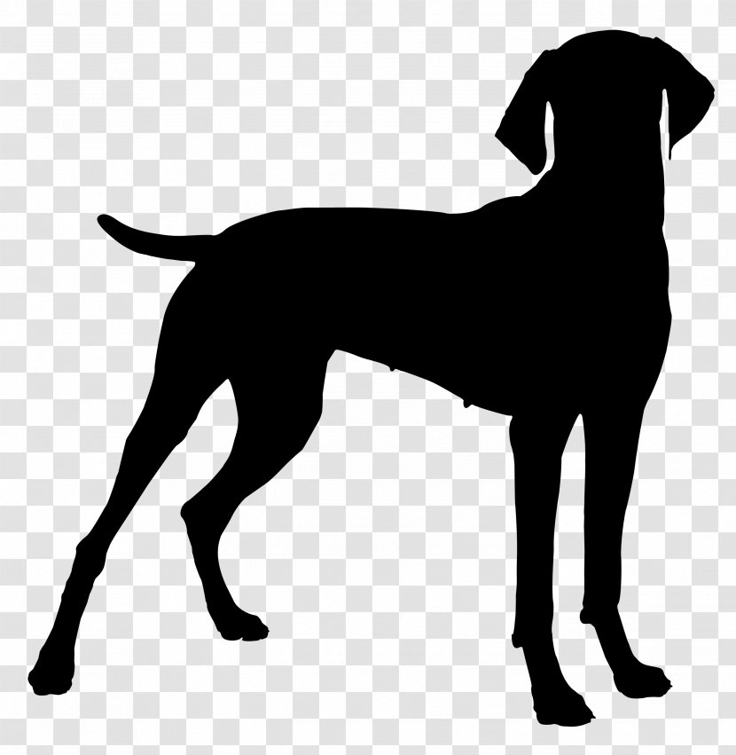 Your Vizsla Jack Russell Terrier Bulldog Hunting Dog - Canidae Transparent PNG