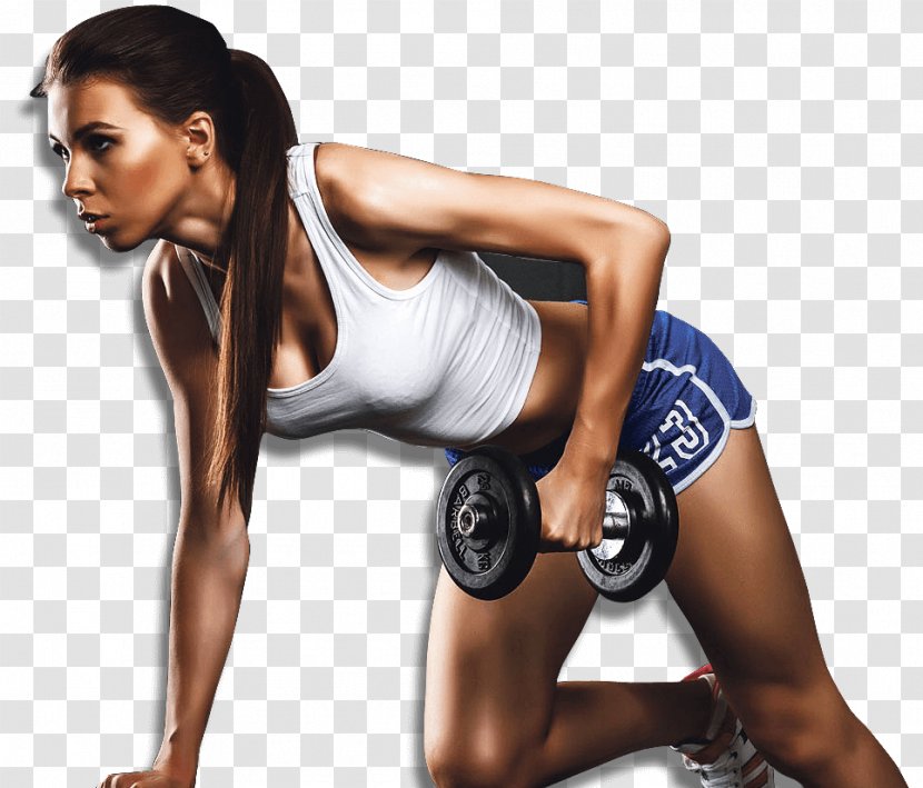 Fitness Centre Physical Exercise Personal Trainer - Frame - Muscle Transparent PNG