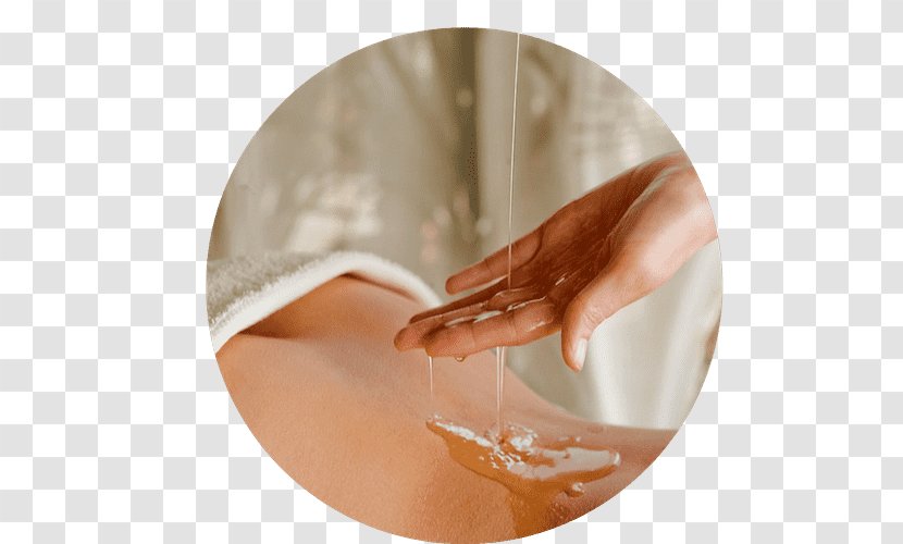 Ayurveda Massage Therapy Alternative Health Services Shiatsu - Facial Transparent PNG