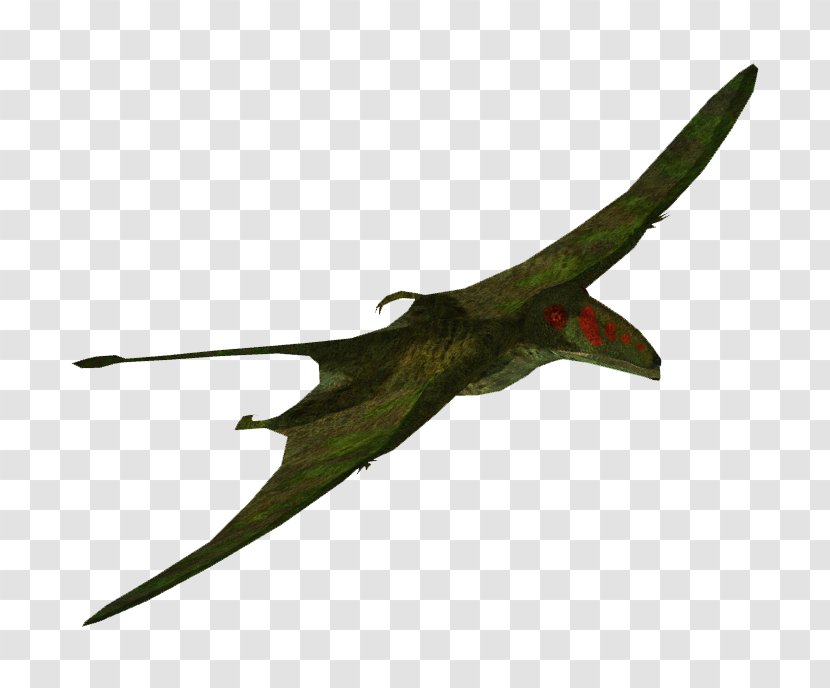 Zoo Tycoon 2 Dimorphodon Pterosaurs Stegosaurus Ankylosaurus - Jurassic World Transparent PNG