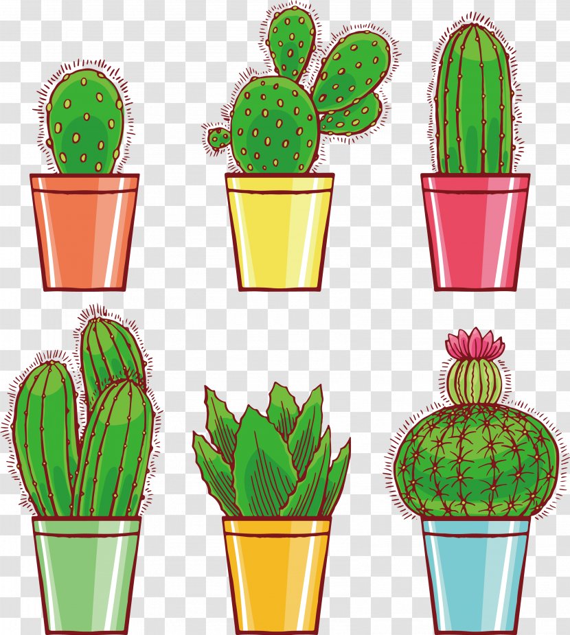 Cactaceae Drawing Euclidean Vector Illustration - Potted Cactus Transparent PNG