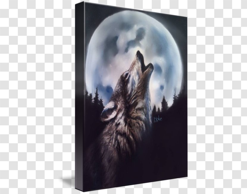 Gray Wolf Art Moon Printmaking - Imagekind - And Transparent PNG
