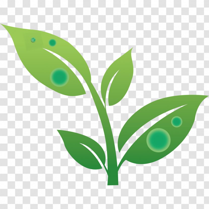 Earth Vector Graphics Clip Art Image - Green - Foliage Transparent PNG