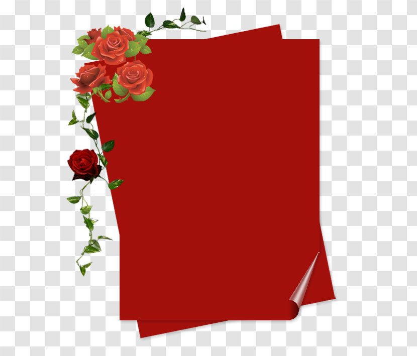 Garden Roses Adobe Photoshop Psd GIF - Plant - Letter Paper Transparent PNG